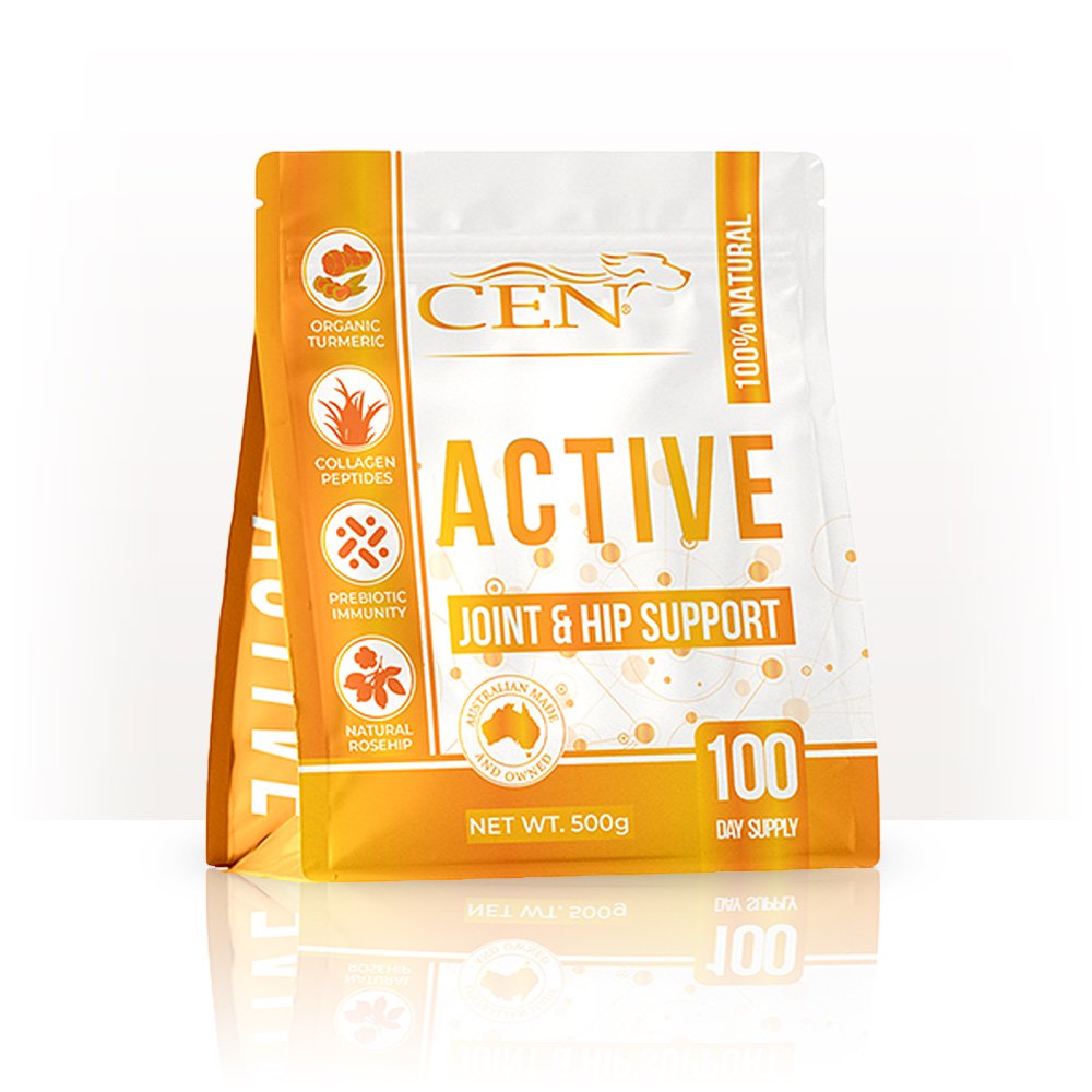 CEN ACTIVE